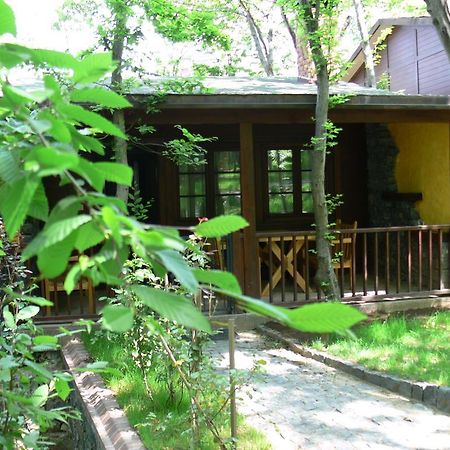 Dolunay Fanizan Hotel Fatsa Exteriör bild