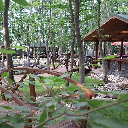 Dolunay Fanizan Hotel Fatsa Exteriör bild