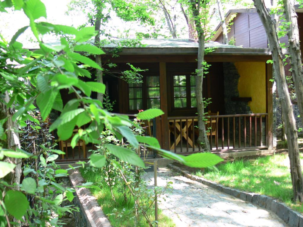 Dolunay Fanizan Hotel Fatsa Exteriör bild